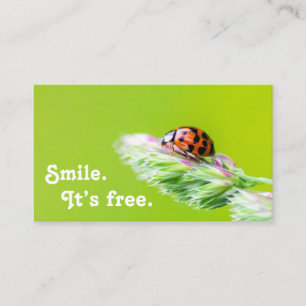 Prachtige ladybug met positief motivatie citaat visitekaartje