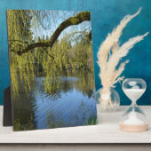 prachtige lenteswilg-bomen per watervijver. fotoplaat (Zijkant)