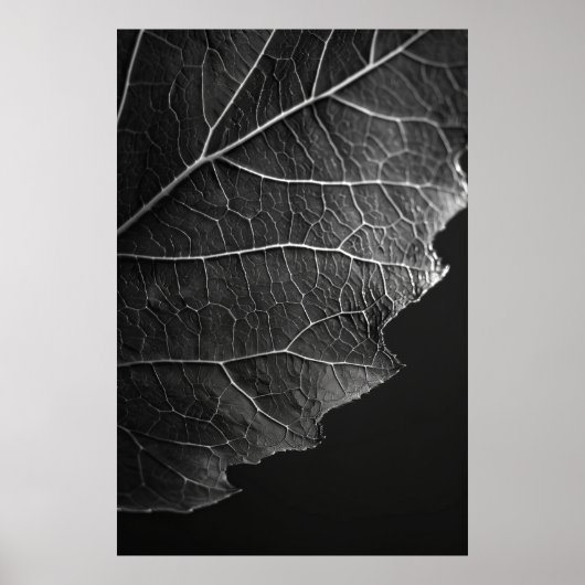 Prachtige macrofotografie van Nathan Wirth - Sluit Poster (Voorkant)