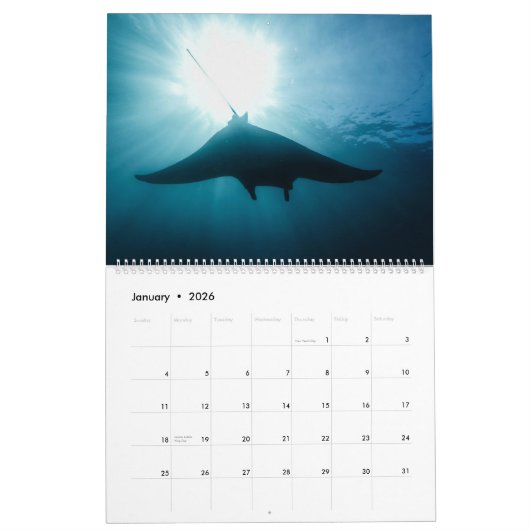 Prachtige Manta Rays Kalender (Jan 2026)