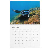 Prachtige Manta Rays Kalender (Mar 2026)