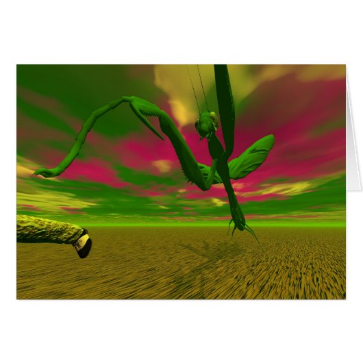 Prachtige mantis (Voorkant Horizontaal)