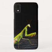 Prachtige mantis Case-Mate iPhone case (Achterkant)