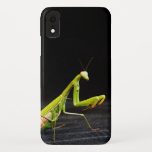 Prachtige mantis iPhone XR hoesje