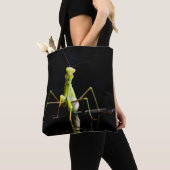 Prachtige mantis draagtas (Dichtbij)