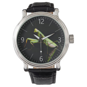 Prachtige mantis horloge