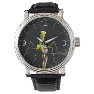 Prachtige mantis horloge