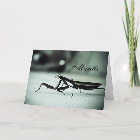 Prachtige mantis kaart (Voorkant)