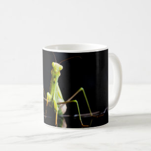 Prachtige mantis koffiemok