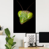 Prachtige mantis poster (Thuiskantoor)