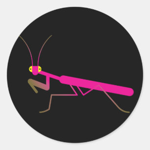 Prachtige mantis ronde sticker