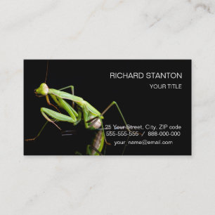 Prachtige mantis visitekaartje