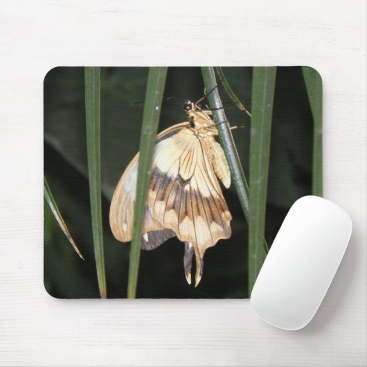Prachtige Moth Mousepad Muismat (Met muis)