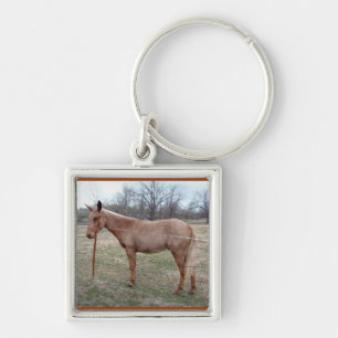 Prachtige muilezel! sleutelhanger