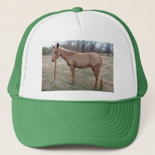 Prachtige muilezel! trucker pet