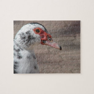 Prachtige Muscovy Hen Duck Legpuzzel