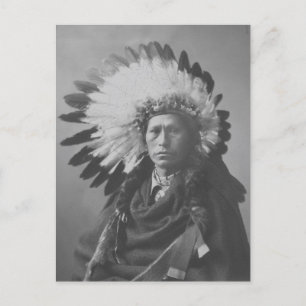 Prachtige Native American Portret Postcar Briefkaart