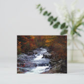 Prachtige natuur briefkaart (Staand voorkant)