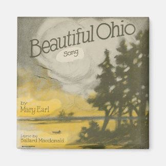 Prachtige Ohio Magneet