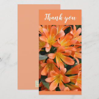 Prachtige Oranje Kaffir Lily Flowers Bedankkaart