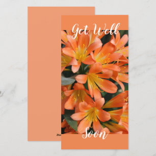 Prachtige Oranje Kaffir Lily Flowers Feestdagenkaart