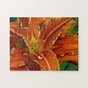 Prachtige oranje luiachtige puzzel