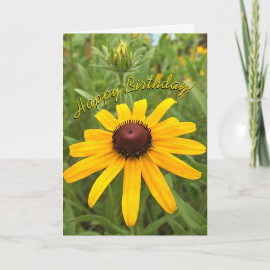 Prachtige Oranje Rudbeckia Bloemende Sjabloon (Voorkant)