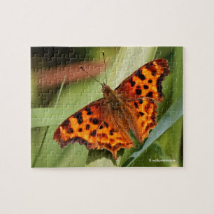 Prachtige Oranje satyr comma Butterfly Legpuzzel