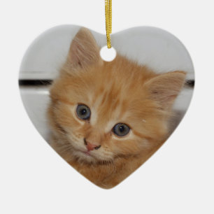 Prachtige Oranje tablet Kitten Keramisch Ornament