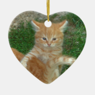 Prachtige Oranje tablet Kitten Keramisch Ornament
