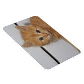 Prachtige Oranje tablet Kitten Magneet (Rechterzijde)