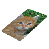 Prachtige Oranje tablet Kitten Magneet (Linkerzijde)