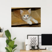 Prachtige Oranje tablet Kitten Poster (Thuiskantoor)