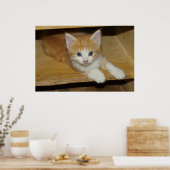 Prachtige Oranje tablet Kitten Poster (Keuken)