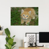 Prachtige Oranje tablet Kitten Poster (Thuiskantoor)