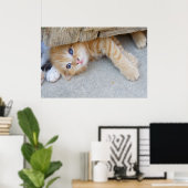 Prachtige Oranje tablet Kitten Poster (Thuiskantoor)