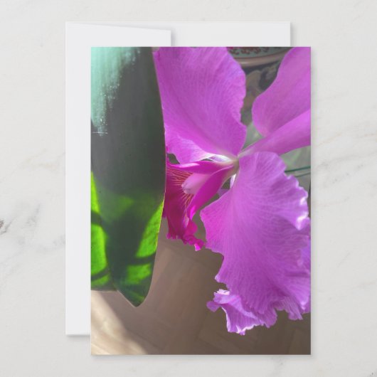 Prachtige Orchidee Bedankkaart (Voorkant)
