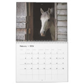 Prachtige paarden van 12 maanden kalender (Feb 2026)
