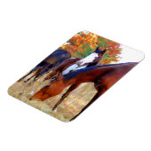 Prachtige paardenmagneten magneet (Linkerzijde)