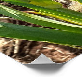 Prachtige Paarse Iris Lila VloertuinPoster Poster (Hoek)