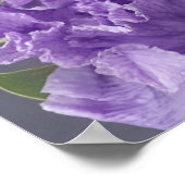 Prachtige Paarse Iris Lila VloertuinPoster Poster (Hoek)