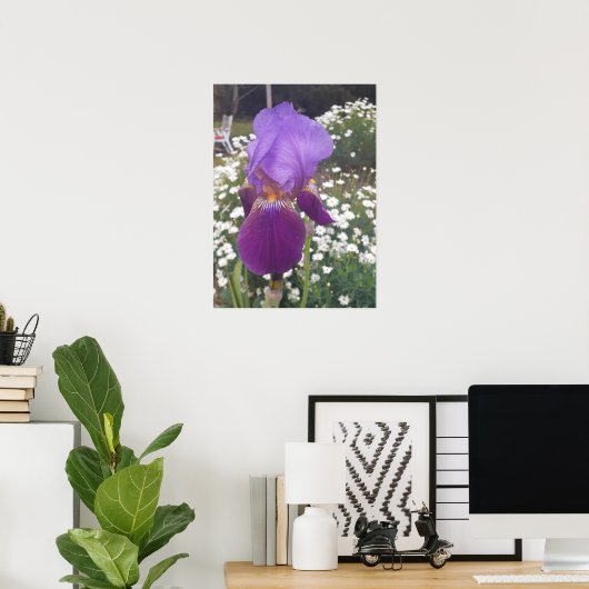 Prachtige Paarse Iris Vloertuin Poster (Thuiskantoor)