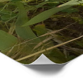 Prachtige Paarse Iris Vloertuin Poster (Hoek)