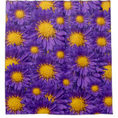 Prachtige Paarse Michaelmas Daisies Douchegordijn (Voorkant)