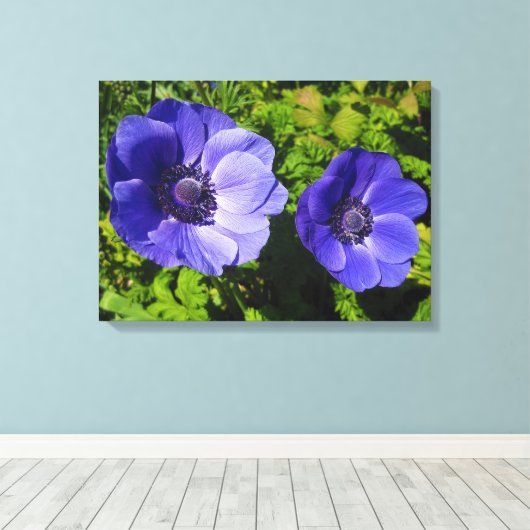 Prachtige Paarse papaver met platte Prints van Can (Insitu (Houten vloer))