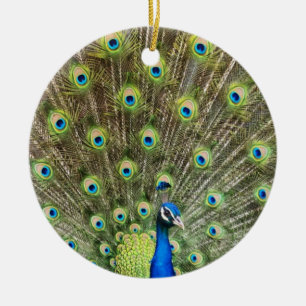 Prachtige pauw vogel keramisch ornament