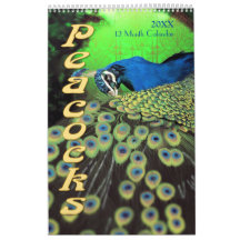 Prachtige Peacocks 2021 Kalender