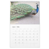 Prachtige Peacocks 2021 Kalender (Mar 2026)