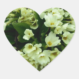 Prachtige pellerige peper Primroses in droge blade Hart Sticker