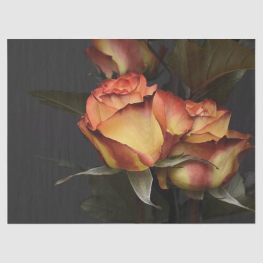 Prachtige perzikkleurige en roestkleurige pedalen  tissuepapier (Voorkant)